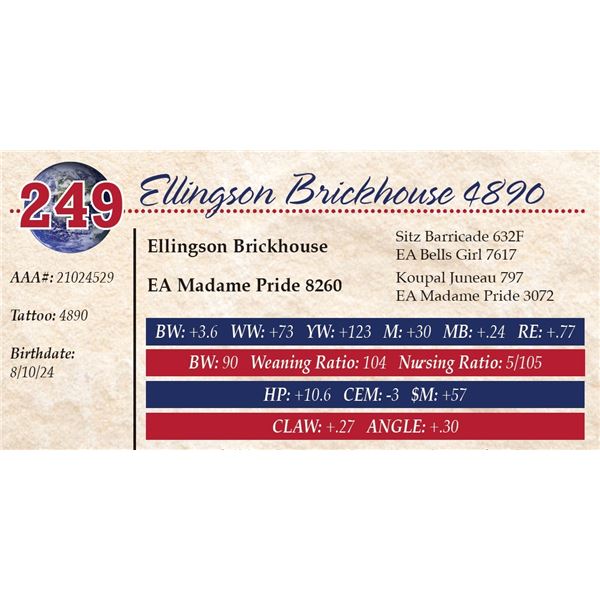 Ellingson Brickhouse 4890