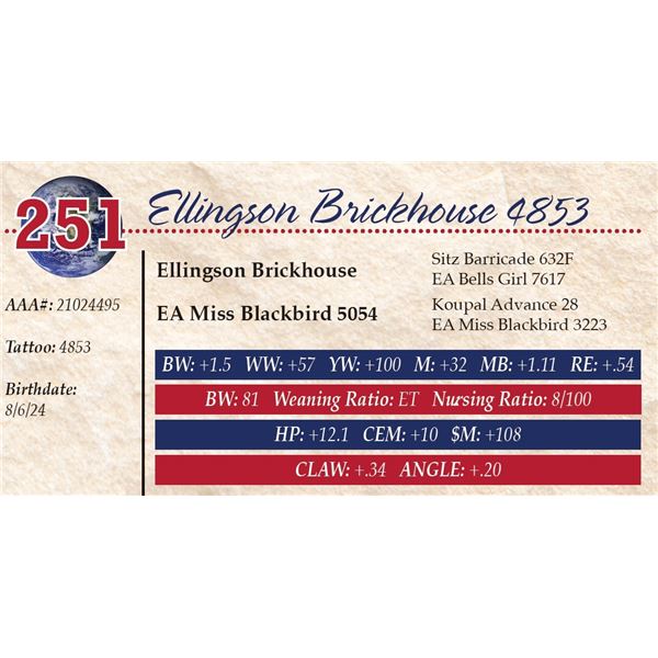 Ellingson Brickhouse 4853