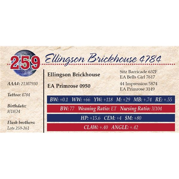 Ellingson Brickhouse 4784