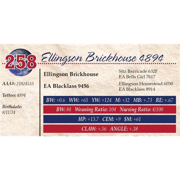Ellingson Brickhouse 4894