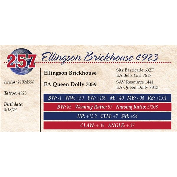 Ellingson Brickhouse 4923