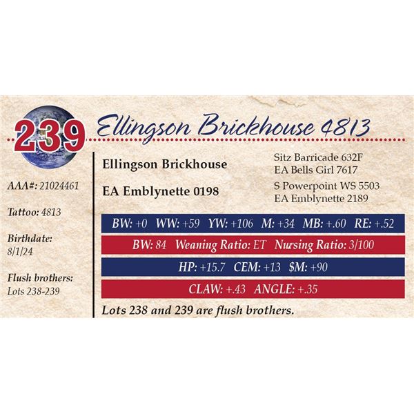 Ellingson Brickhouse 4813