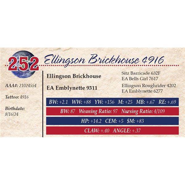 Ellingson Brickhouse 4916
