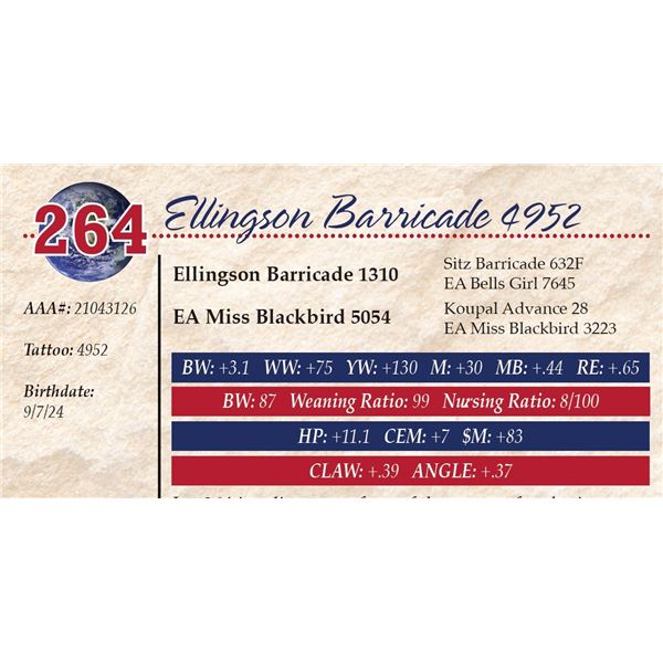 Ellingson Barricade 4952