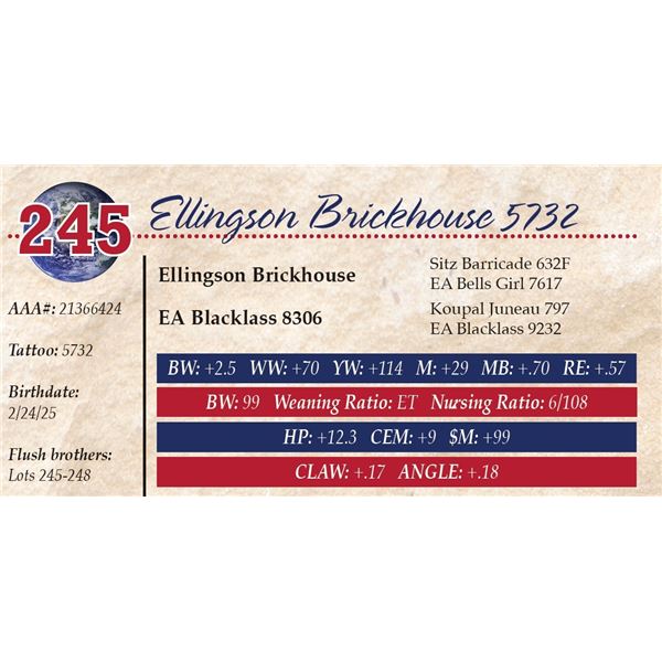 Ellingson Brickhouse 5732