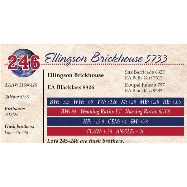 Ellingson Brickhouse 5733