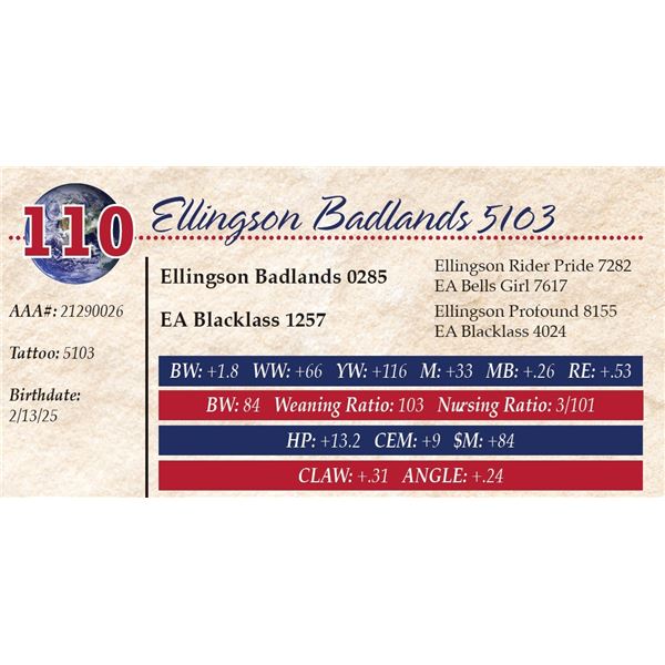 Ellingson Badlands 5103