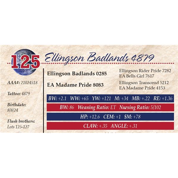 Ellingson Badlands 4879