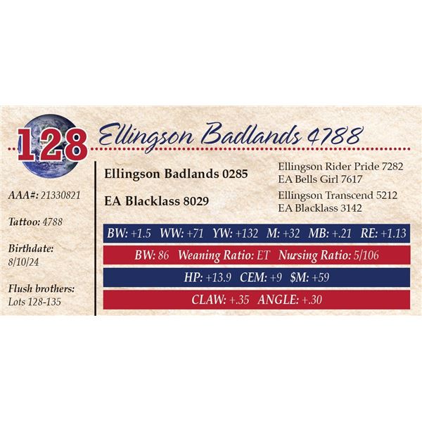 Ellingson Badlands 4788