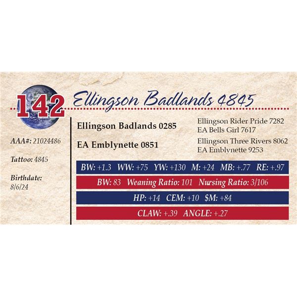 Ellingson Badlands 4845