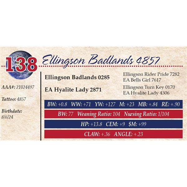 Ellingson Badlands 4857