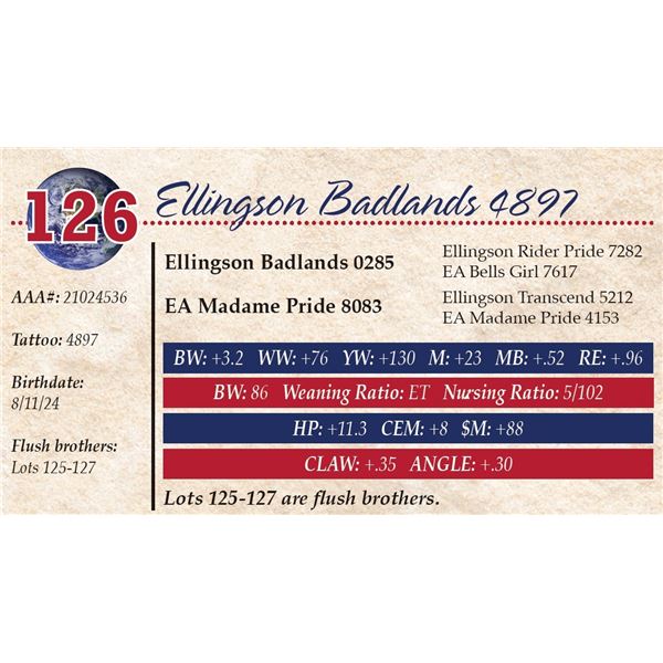 Ellingson Badlands 4897