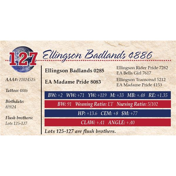 Ellingson Badlands 4886