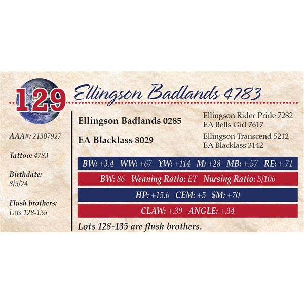 Ellingson Badlands 4783