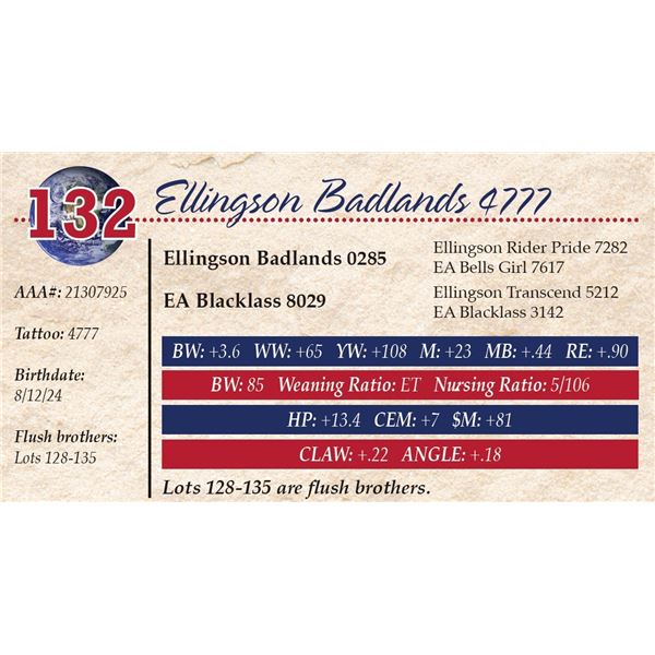 Ellingson Badlands 4777