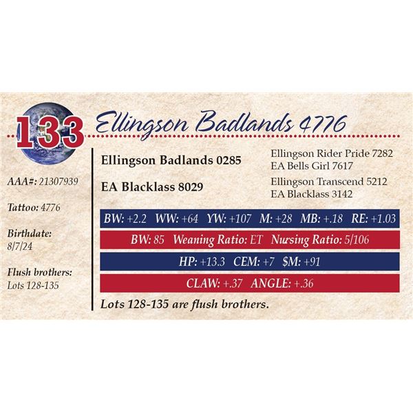 Ellingson Badlands 4776