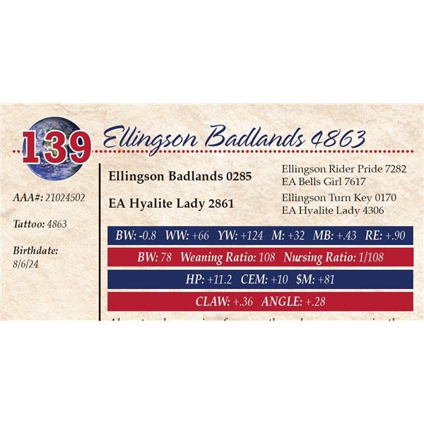 Ellingson Badlands 4863