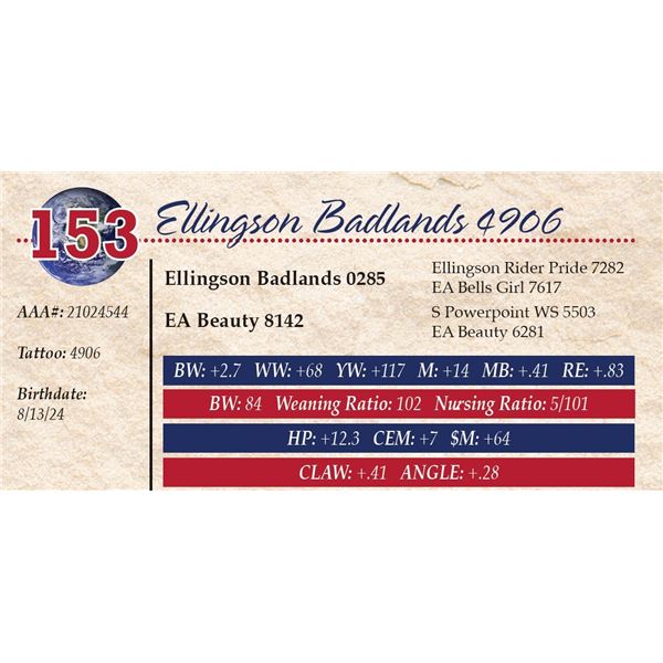 Ellingson Badlands 4906