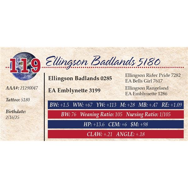 Ellingson Badlands 5180