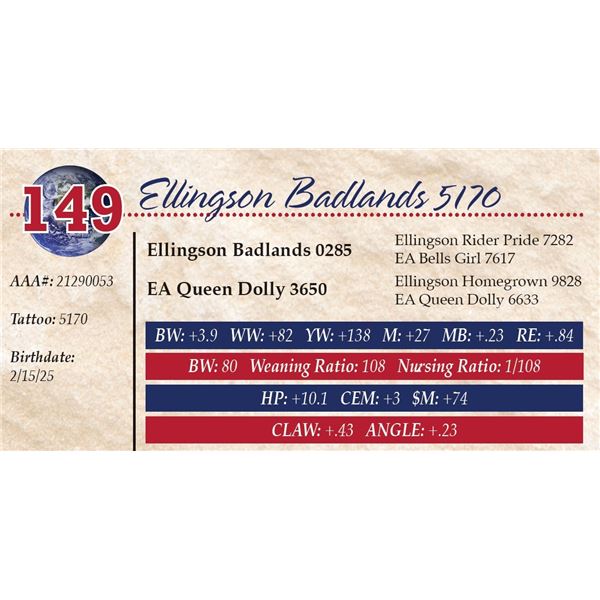 Ellingson Badlands 5170