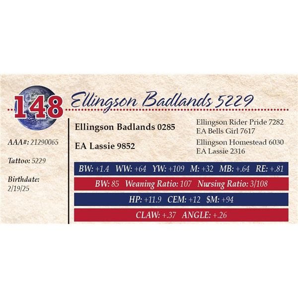 Ellingson Badlands 5229