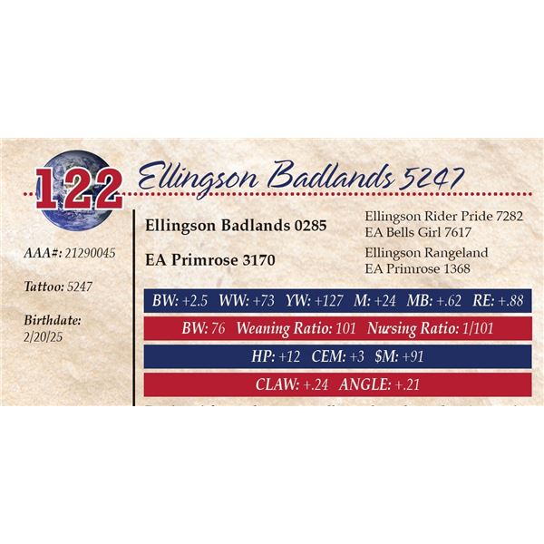 Ellingson Badlands 5247