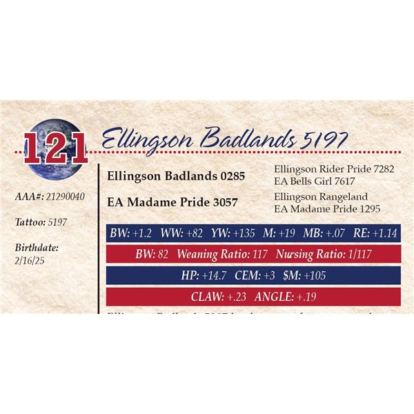 Ellingson Badlands 5197