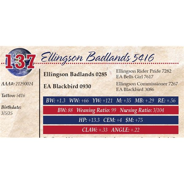 Ellingson Badlands 5416