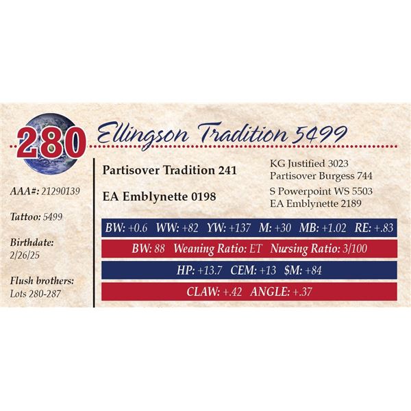Ellingson Tradition 5499