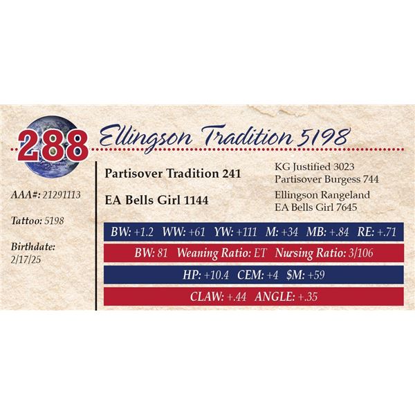 Ellingson Tradition 5198
