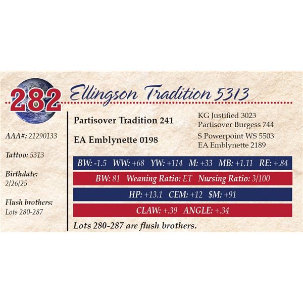 Ellingson Tradition 5313