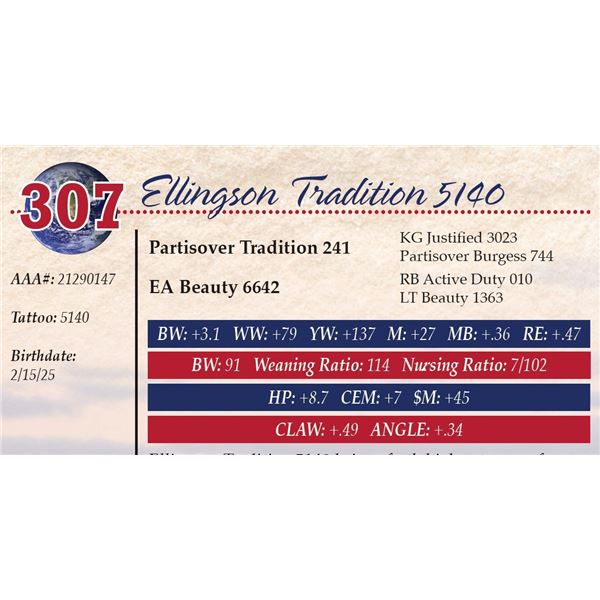 Ellingson Tradition 5140