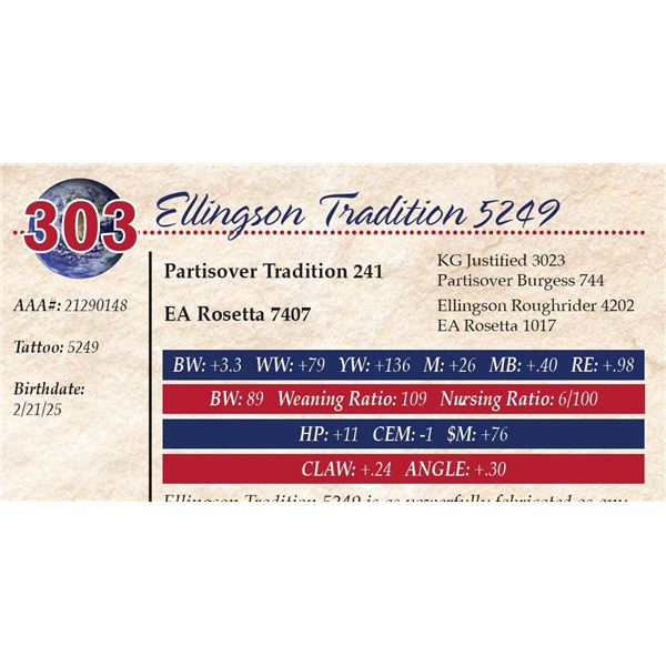 Ellingson Tradition 5249