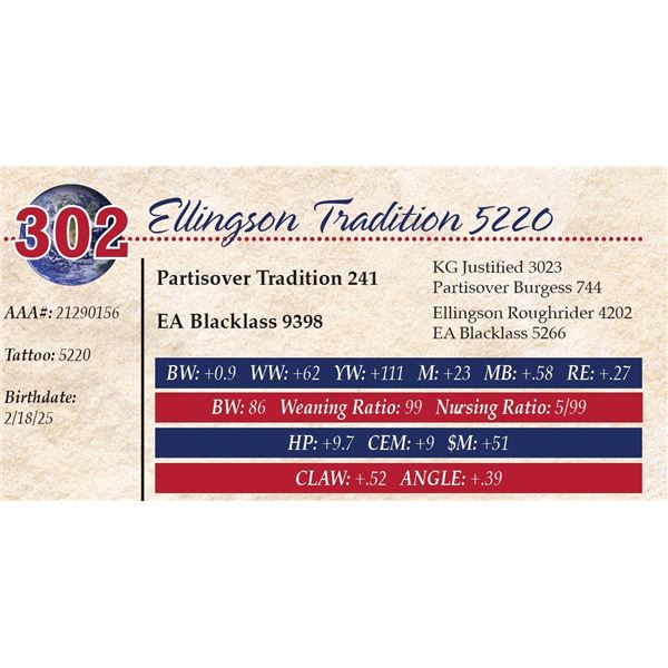 Ellingson Tradition 5220