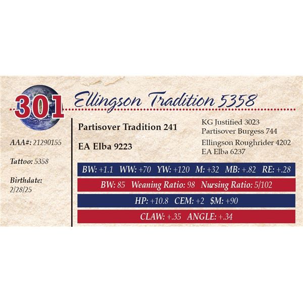 Ellingson Tradition 5358