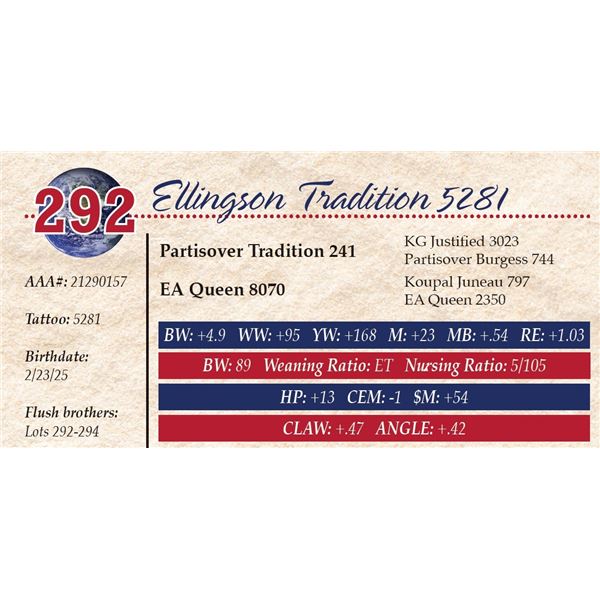Ellingson Tradition 5281