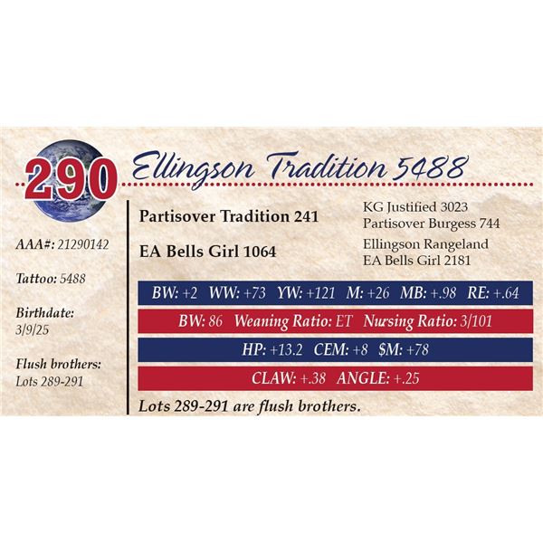 Ellingson Tradition 5488