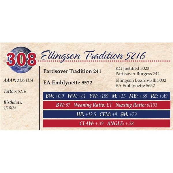 Ellingson Tradition 5216
