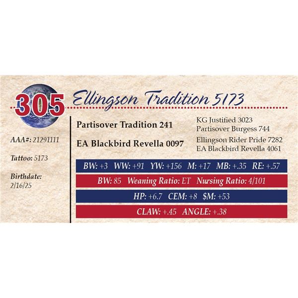 Ellingson Tradition 5173