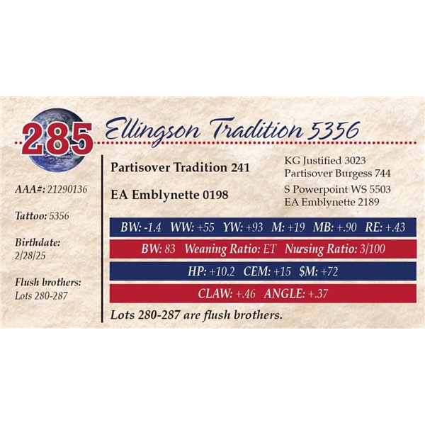 Ellingson Tradition 5356