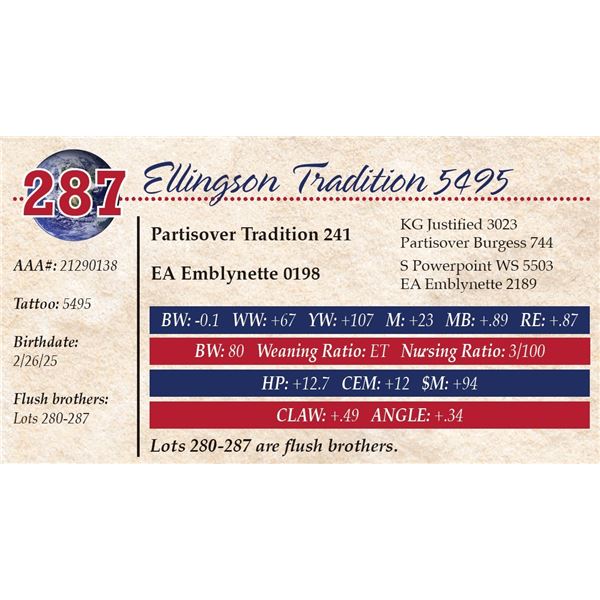 Ellingson Tradition 5495
