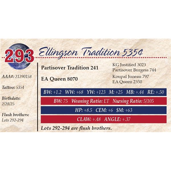 Ellingson Tradition 5354