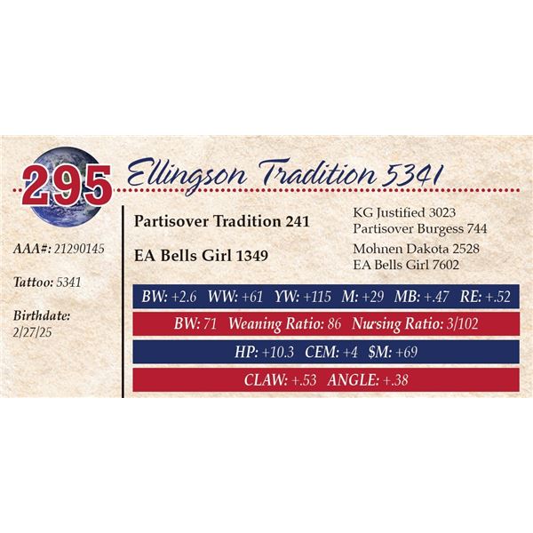 Ellingson Tradition 5341