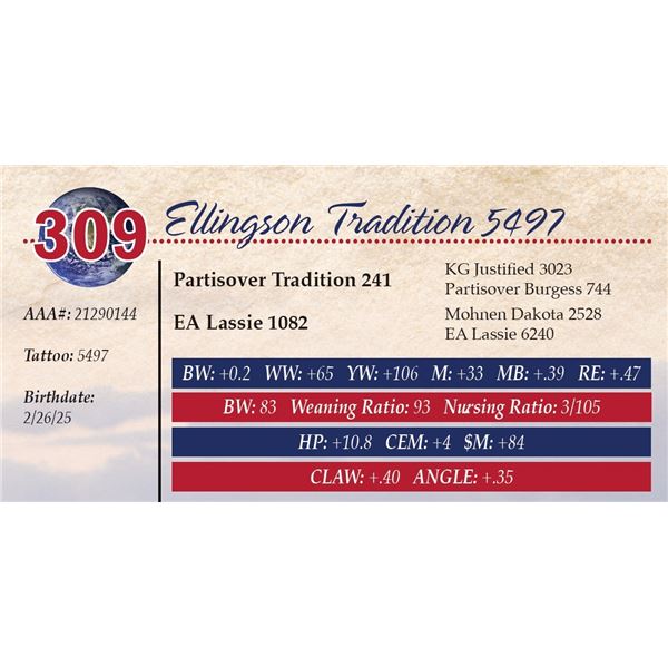 Ellingson Tradition 5497