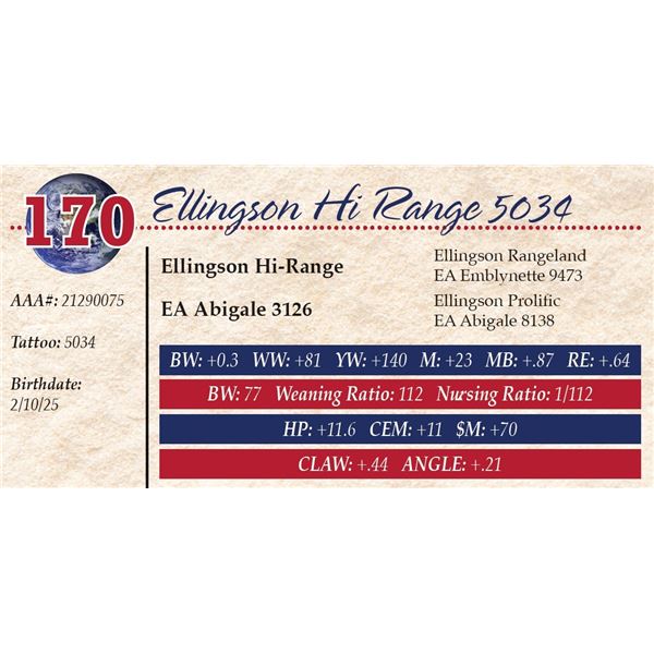 Ellingson Hi Range 5034