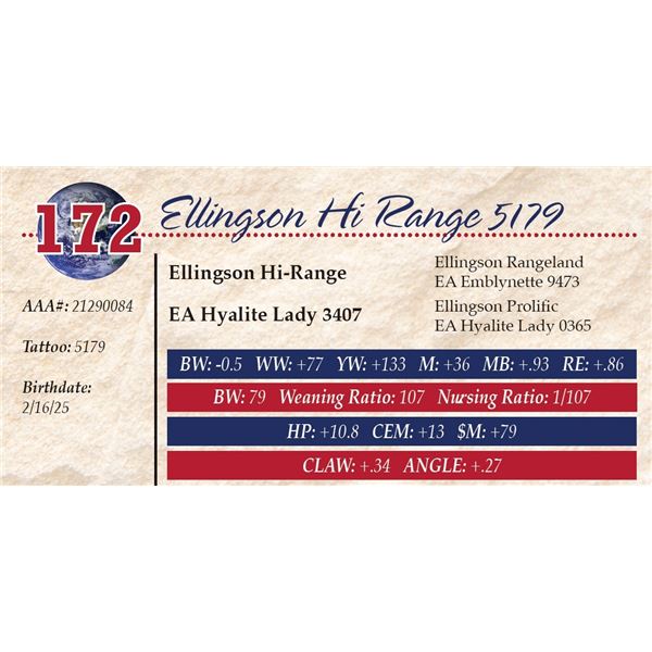 Ellingson Hi Range 5179