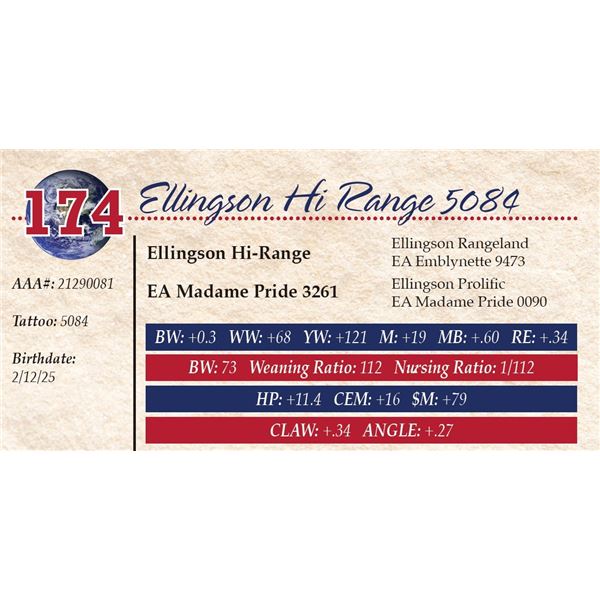 Ellingson Hi Range 5084