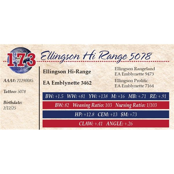 Ellingson Hi Range 5078