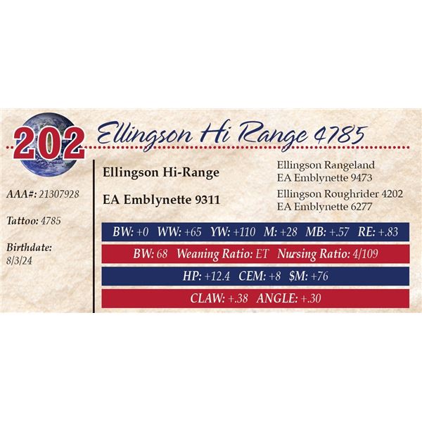 Ellingson Hi Range 4785