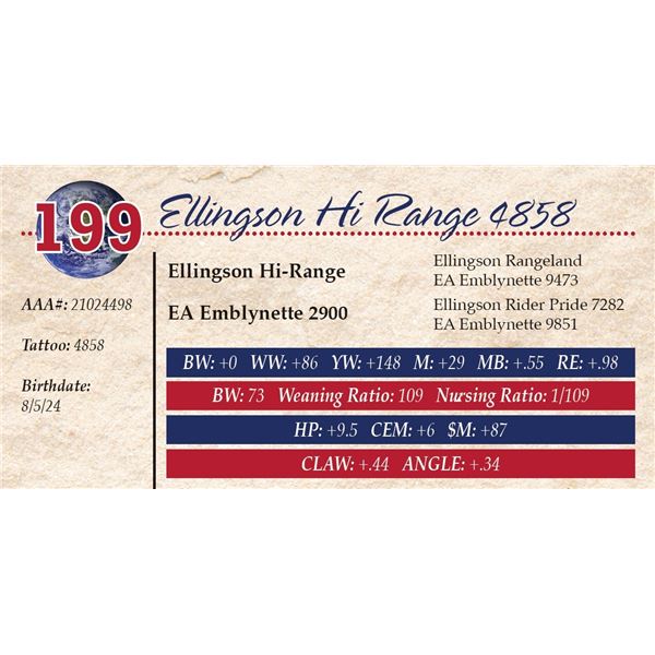 Ellingson Hi Range 4858